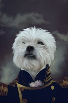 Reasons to Have a Custom Portrait of Your Pet post thumbnail image