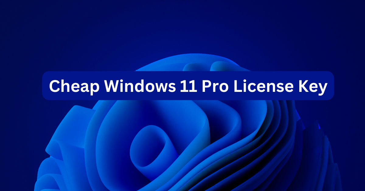 Discounted Windows 11 Pro Key: Save on Pro Activation post thumbnail image